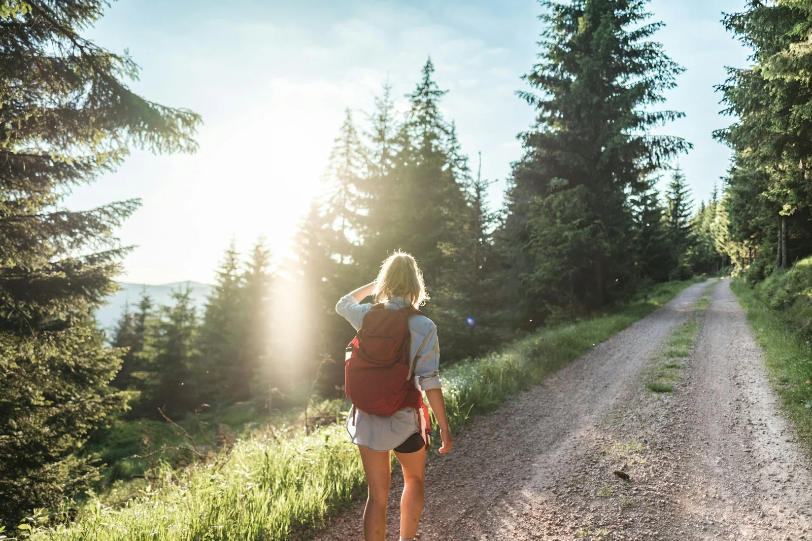 Eine Frau mit Rucksack von hinten auf einem sonnigen Wanderweg in der Natur
